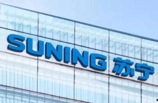 苏宁家乐福最新爆料电话,神秘电话揭露惊人内幕  第3张